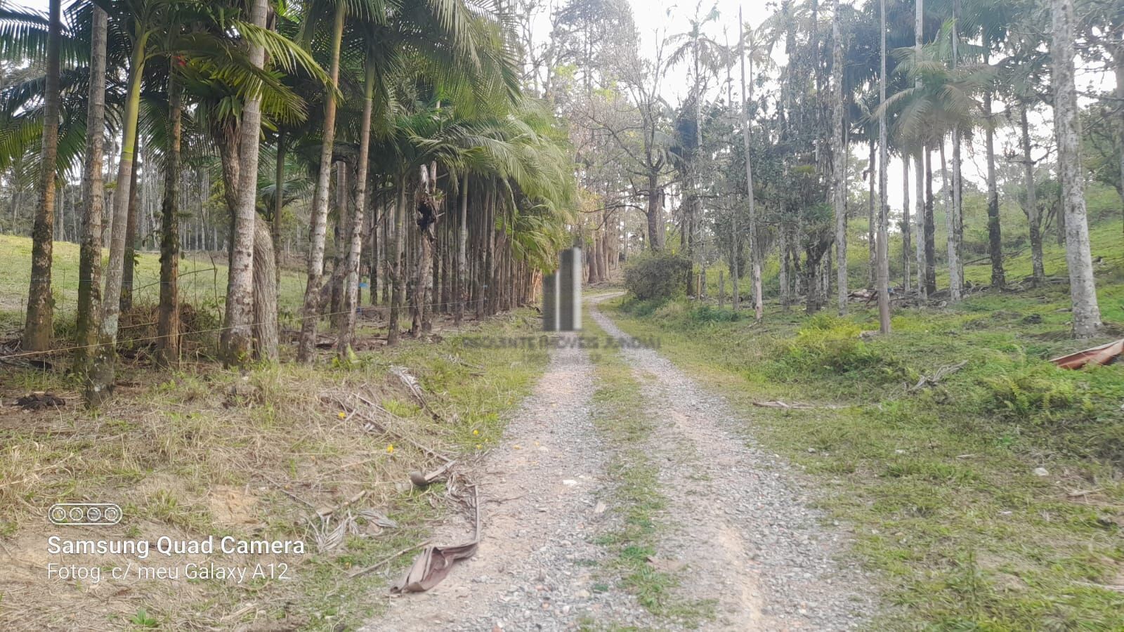 Fazenda à venda com 3 quartos, 242000m² - Foto 42