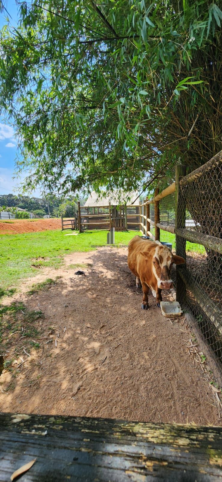 Casa de Condomínio para alugar com 3 quartos, 173m² - Foto 38