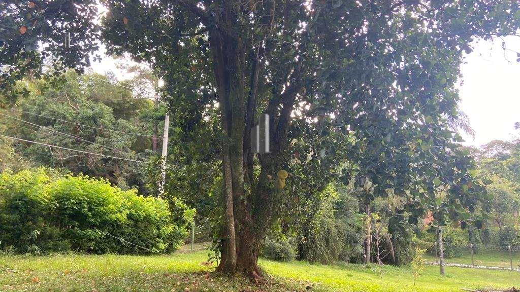 Terreno, 1000 m² - Foto 6