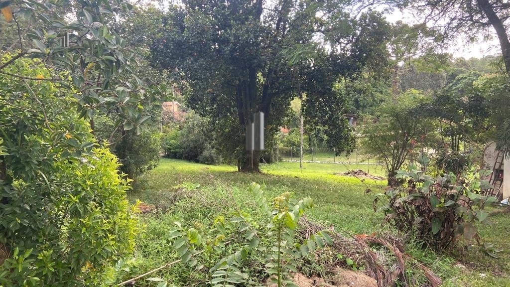 Terreno, 1000 m² - Foto 5