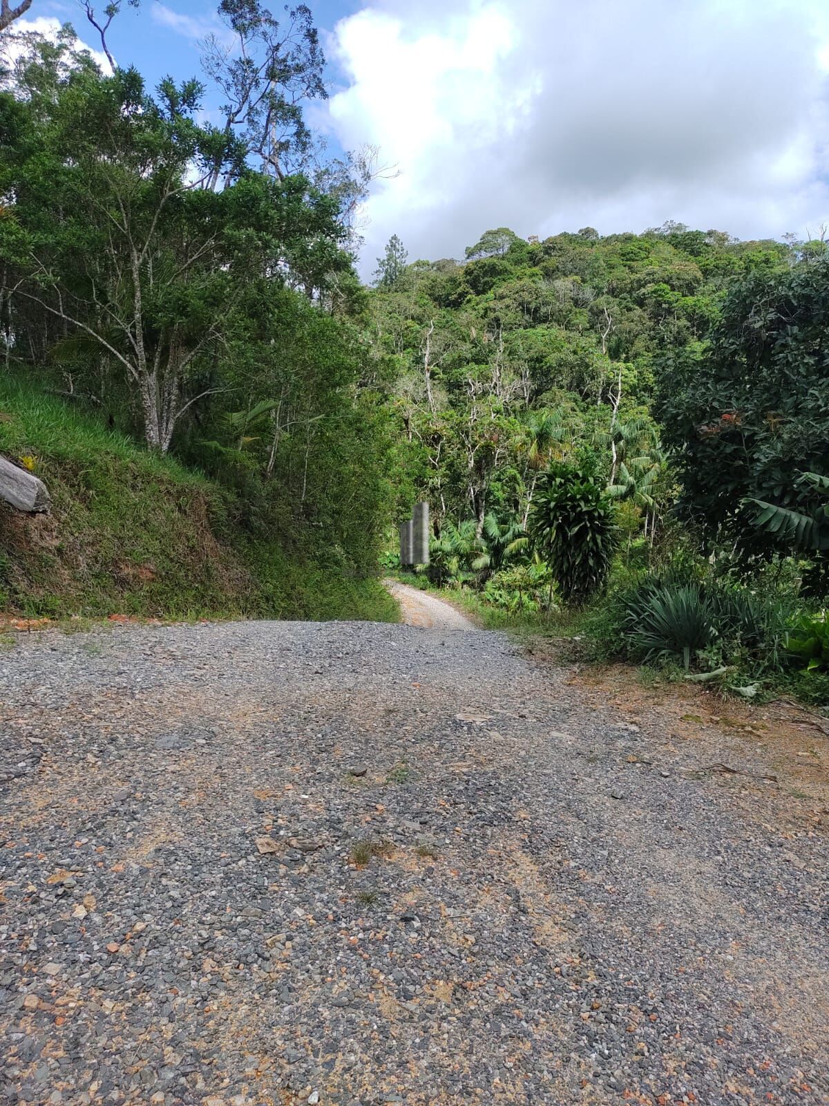 Sítio, 3 quartos, 12 hectares - Foto 10