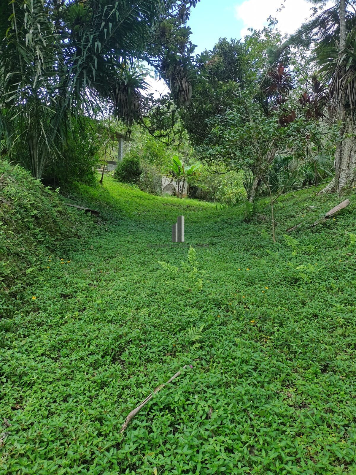 Sítio, 3 quartos, 12 hectares - Foto 19