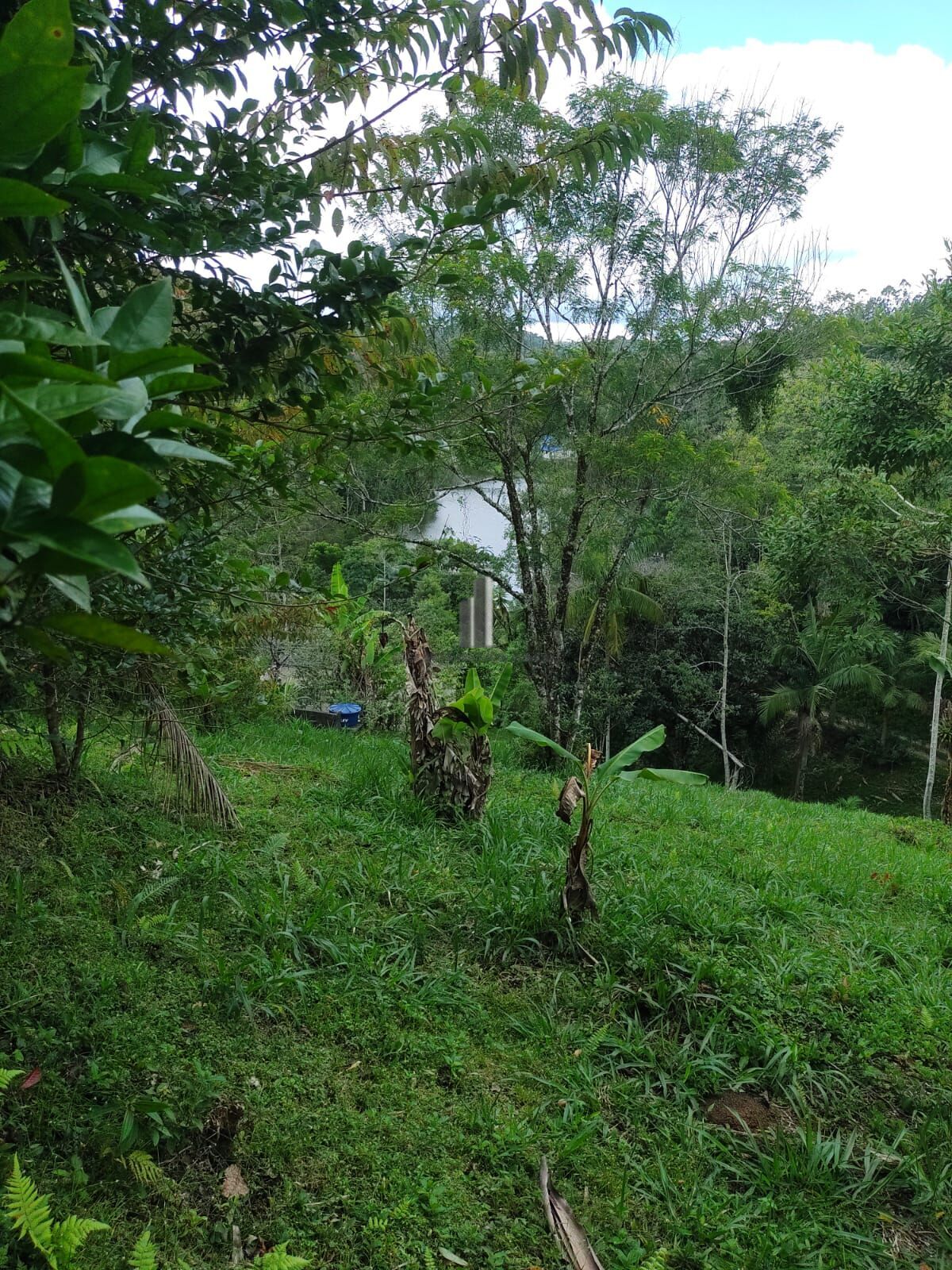 Sítio, 3 quartos, 12 hectares - Foto 14