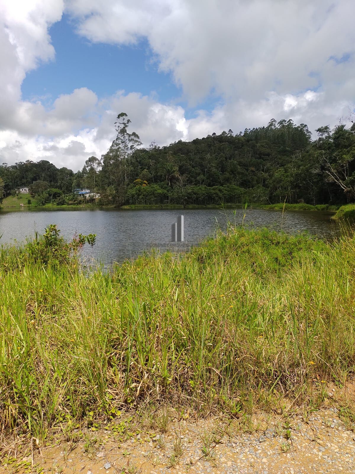 Sítio, 3 quartos, 12 hectares - Foto 5