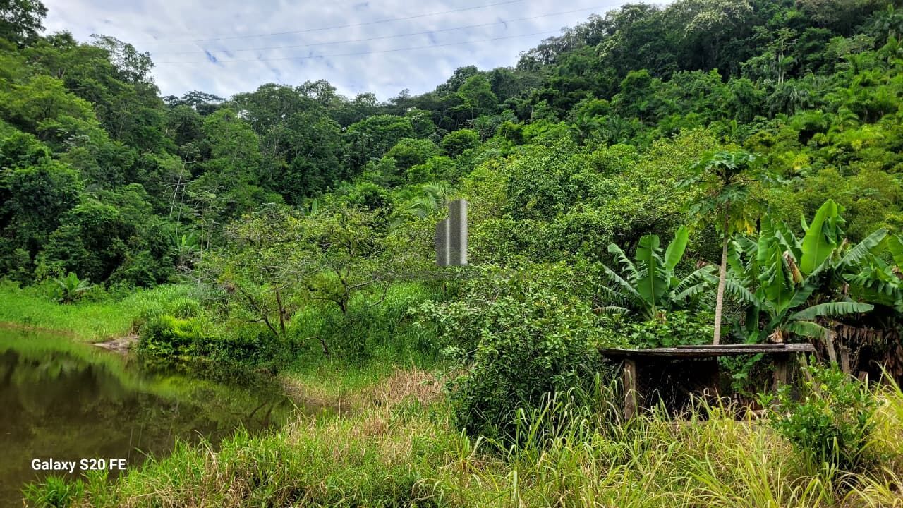 Chácara, 12 hectares - Foto 4