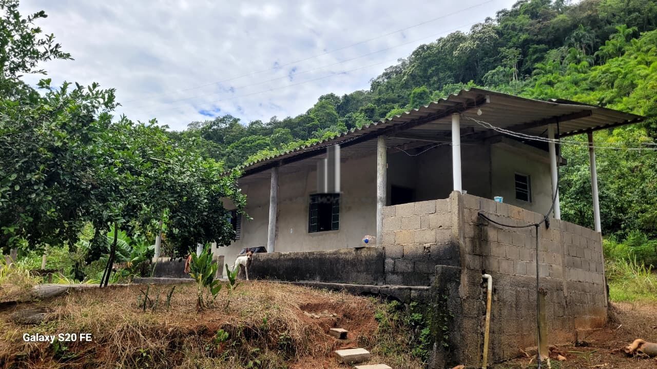 Chácara, 12 hectares - Foto 10