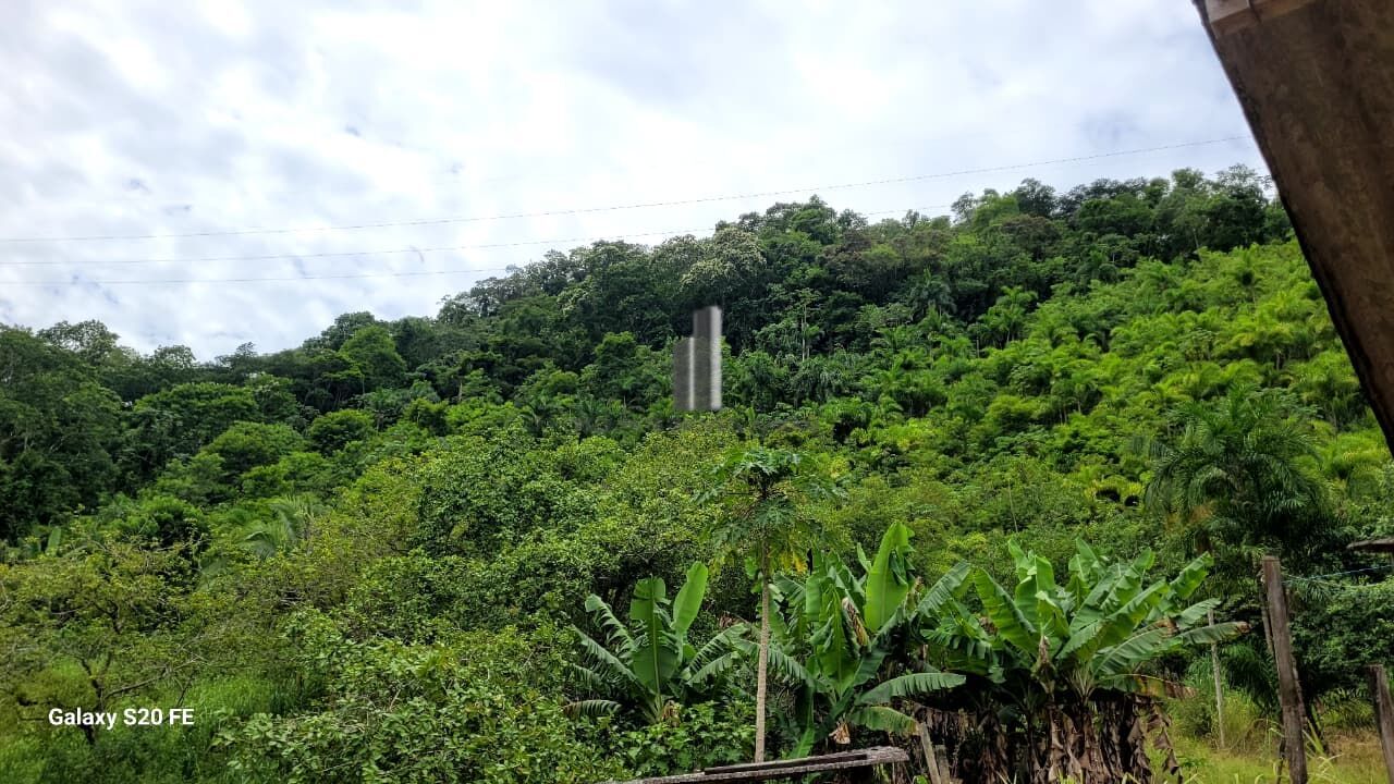 Chácara, 12 hectares - Foto 8