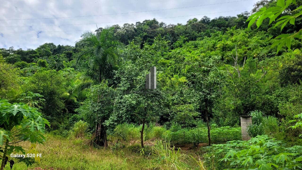 Chácara, 12 hectares - Foto 9
