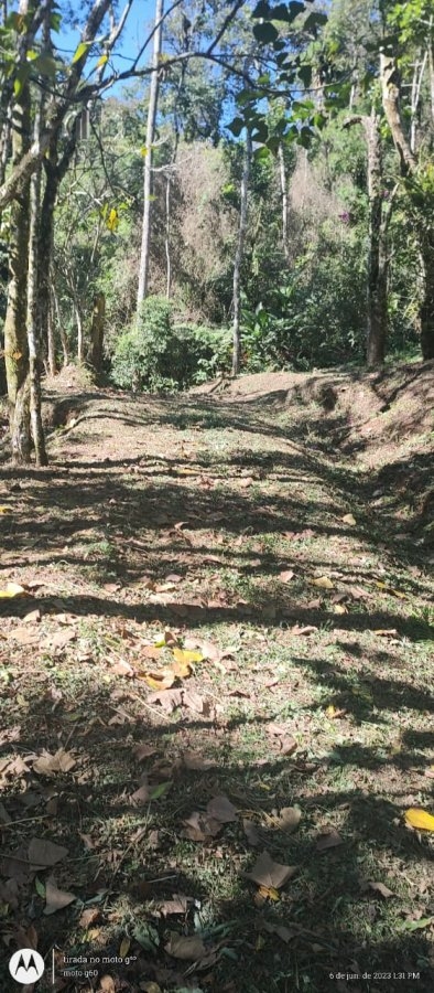 Terreno à venda - Foto 8