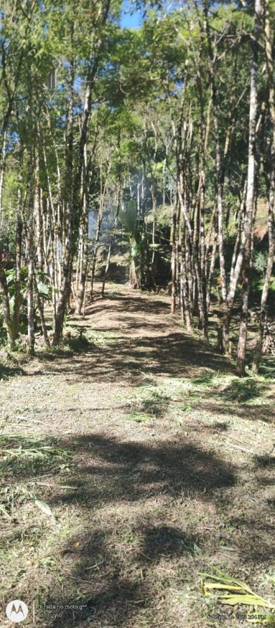 Terreno à venda - Foto 4