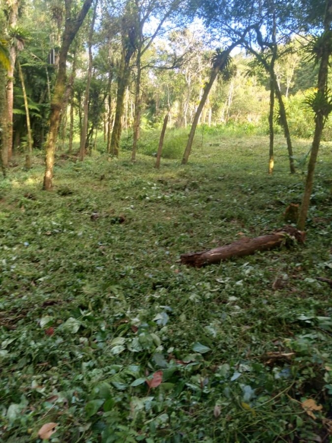 Fazenda à venda, 25000m² - Foto 19