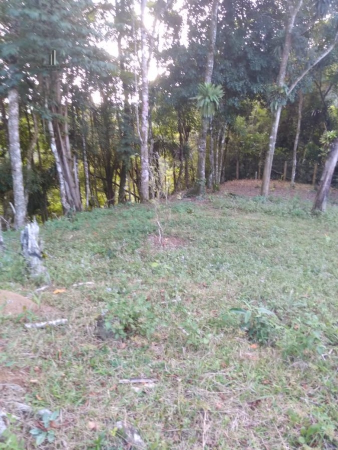 Fazenda à venda, 25000m² - Foto 10