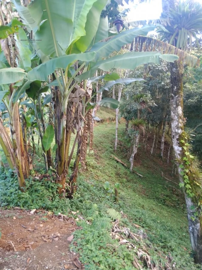 Fazenda à venda, 25000m² - Foto 6