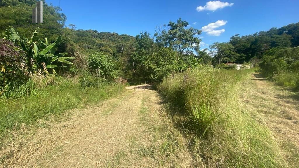 Fazenda à venda com 6 quartos, 66000m² - Foto 5