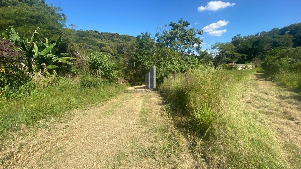 Fazenda à venda com 6 quartos, 67010m² - Foto 5