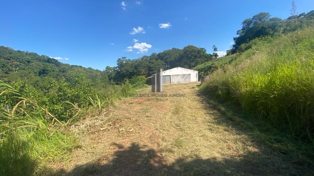 Fazenda à venda com 6 quartos, 67010m² - Foto 4