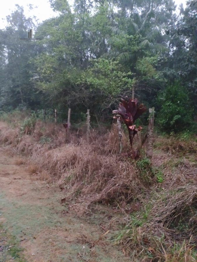 Terreno à venda - Foto 3