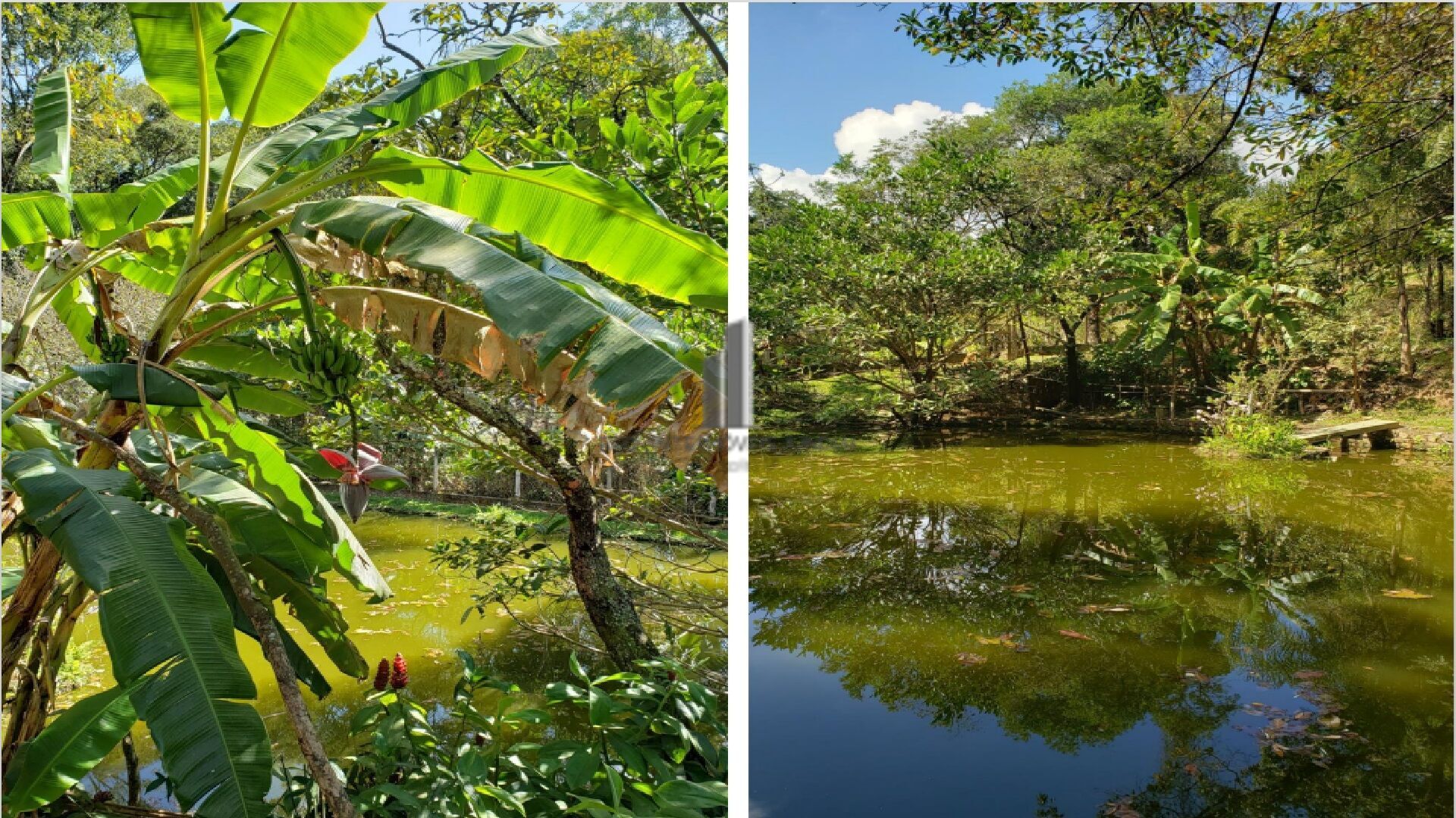 Fazenda à venda com 5 quartos, 13500m² - Foto 27