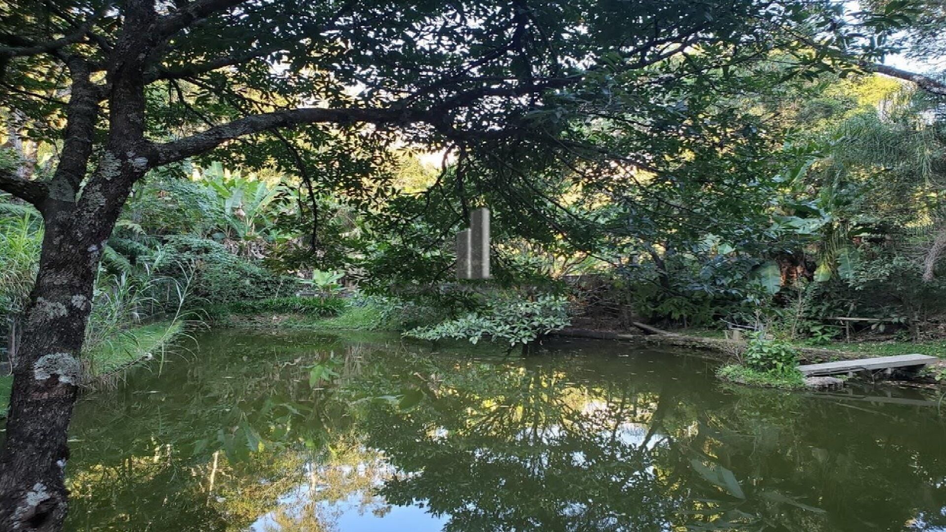 Fazenda à venda com 5 quartos, 13500m² - Foto 26