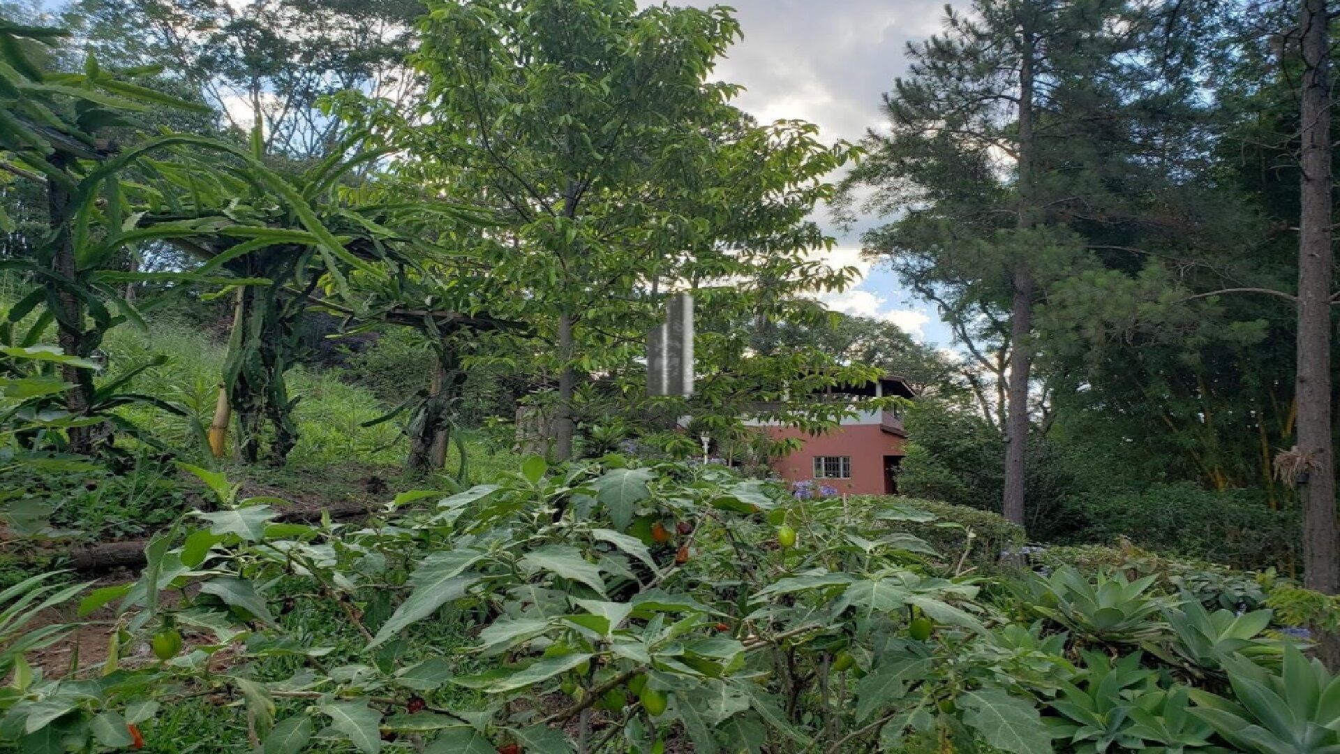 Fazenda à venda com 5 quartos, 13500m² - Foto 40