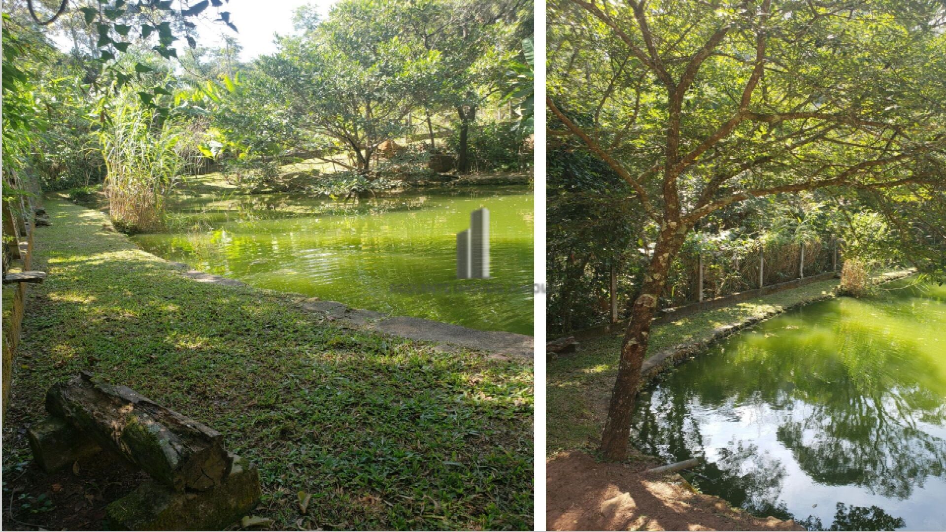 Fazenda à venda com 5 quartos, 13500m² - Foto 29