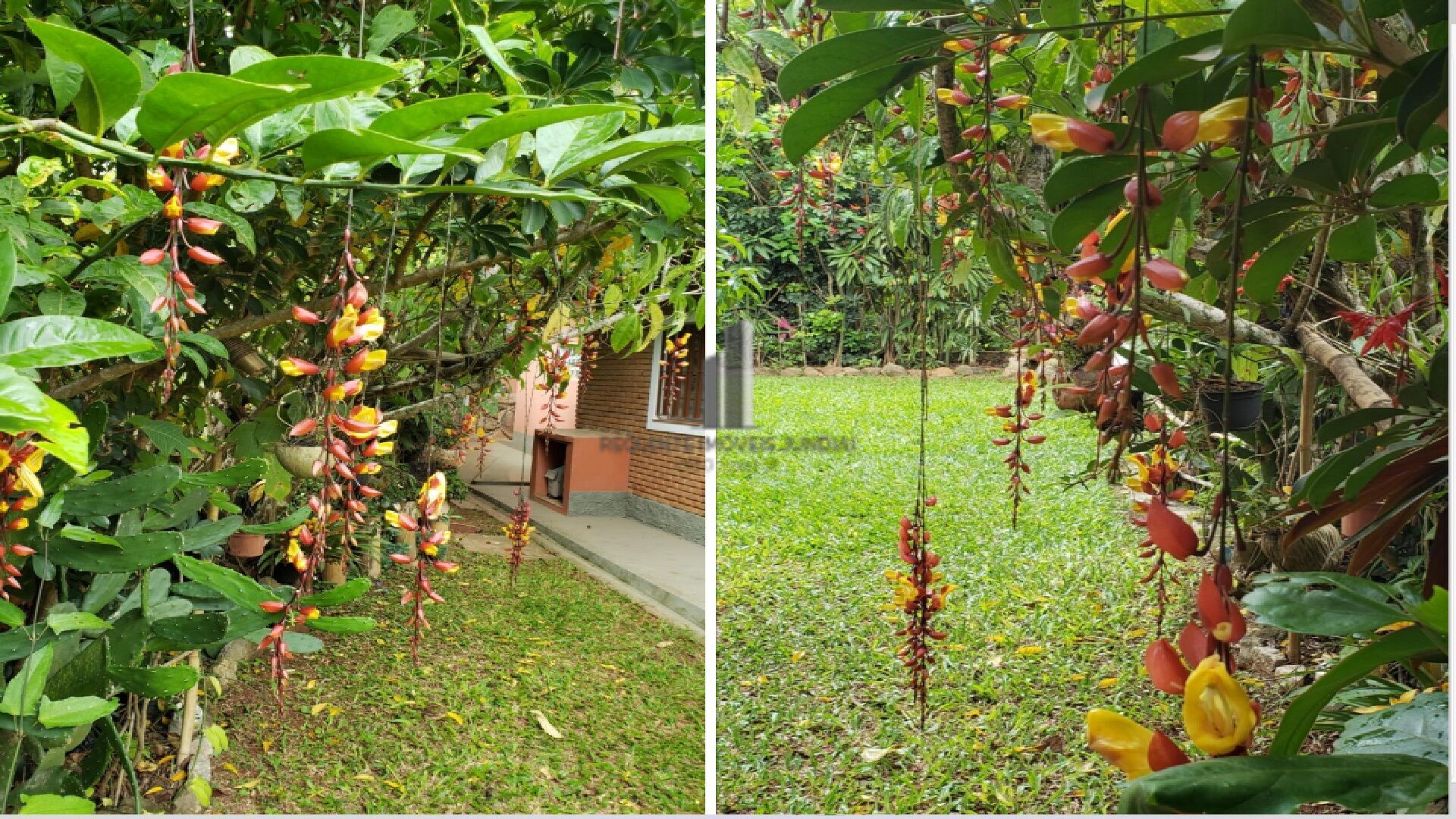 Fazenda à venda com 5 quartos, 13500m² - Foto 21