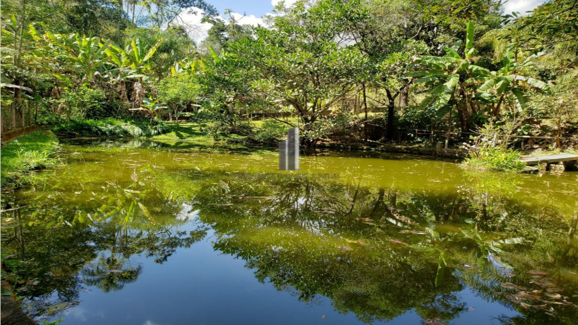 Fazenda à venda com 5 quartos, 13500m² - Foto 23