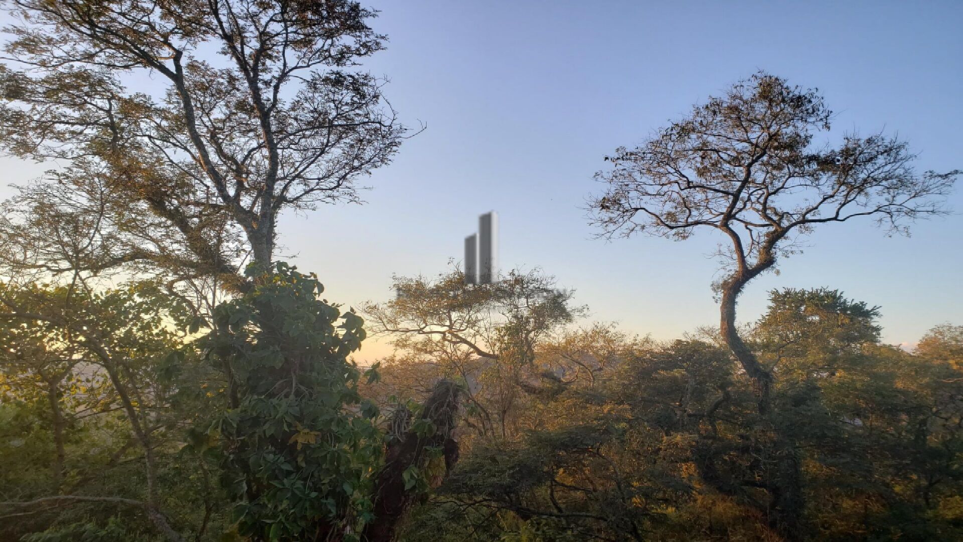 Fazenda à venda com 5 quartos, 13500m² - Foto 33