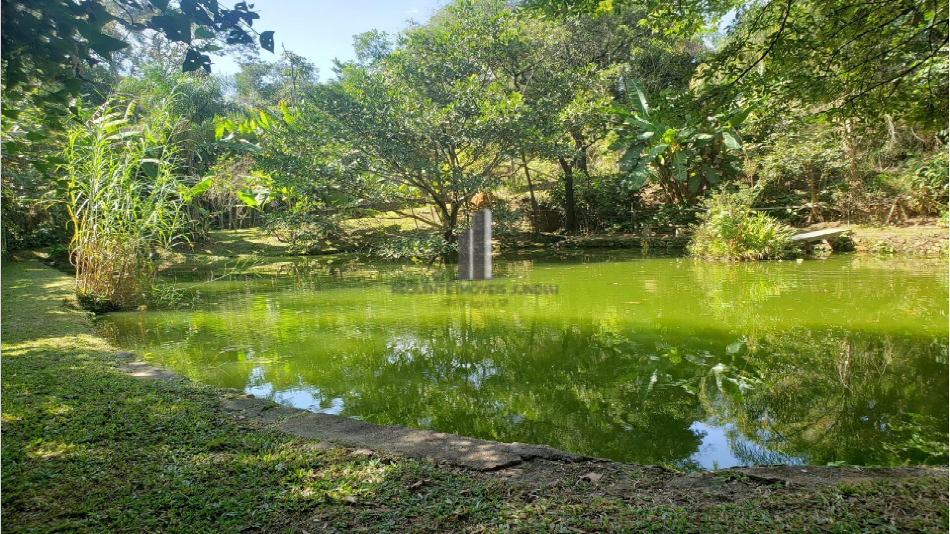 Fazenda à venda com 5 quartos, 13500m² - Foto 31