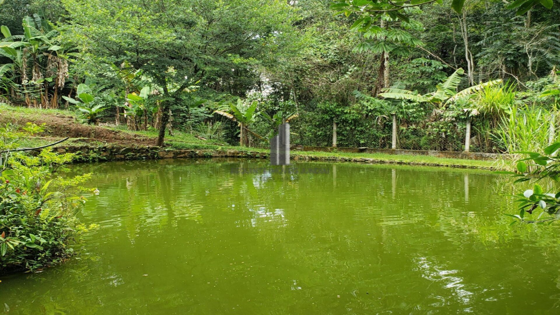 Fazenda à venda com 5 quartos, 13500m² - Foto 24