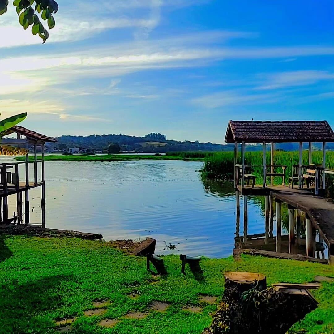 Fazenda à venda com 4 quartos, 154m² - Foto 7