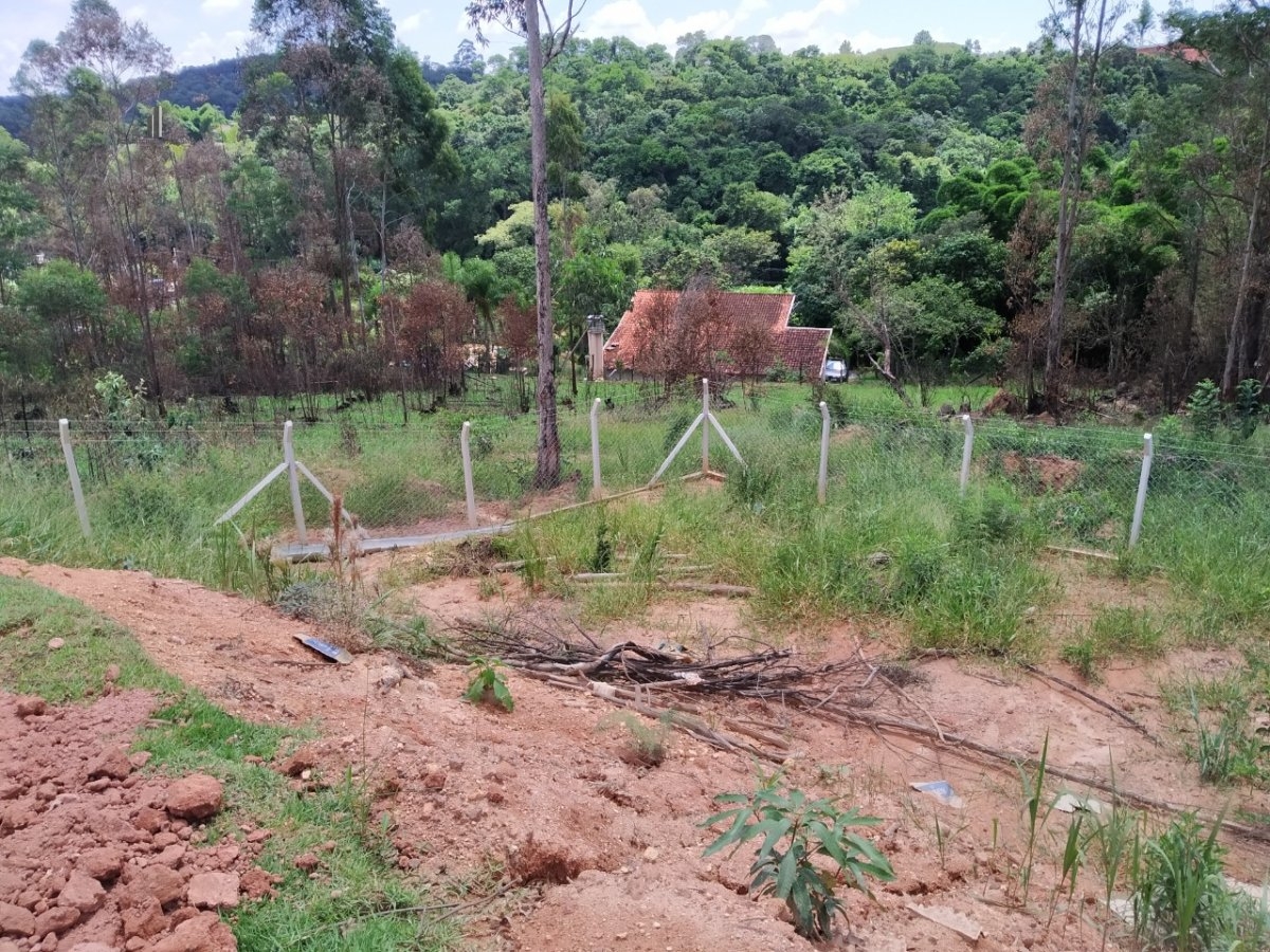 Terreno à venda - Foto 6