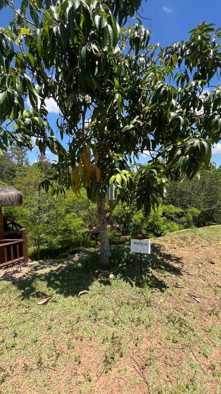 Casa de Condomínio, 3 quartos - Foto 39