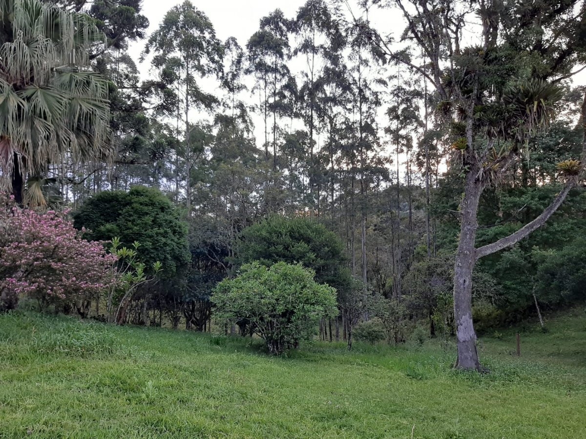 Fazenda à venda com 3 quartos, 242000m² - Foto 27