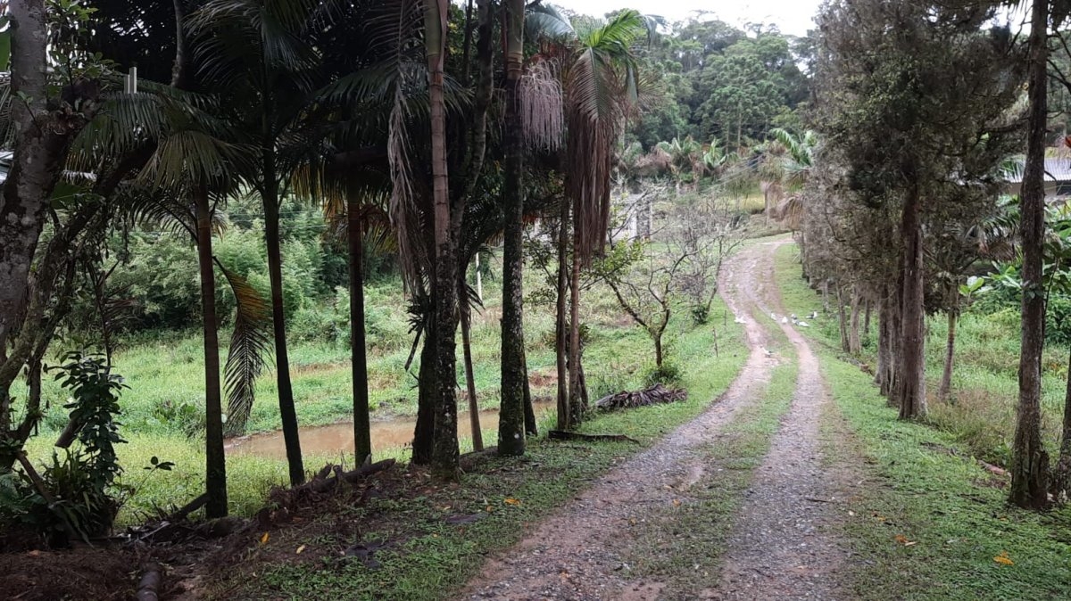 Fazenda à venda com 3 quartos, 242000m² - Foto 15