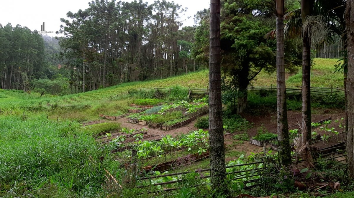 Fazenda à venda com 3 quartos, 242000m² - Foto 16