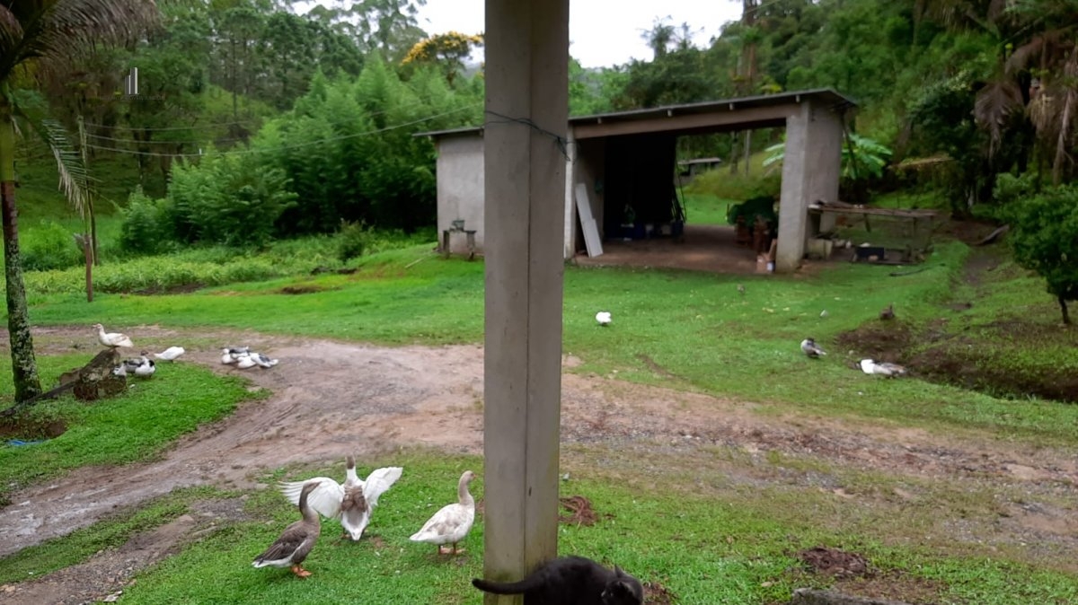 Fazenda à venda com 3 quartos, 242000m² - Foto 25