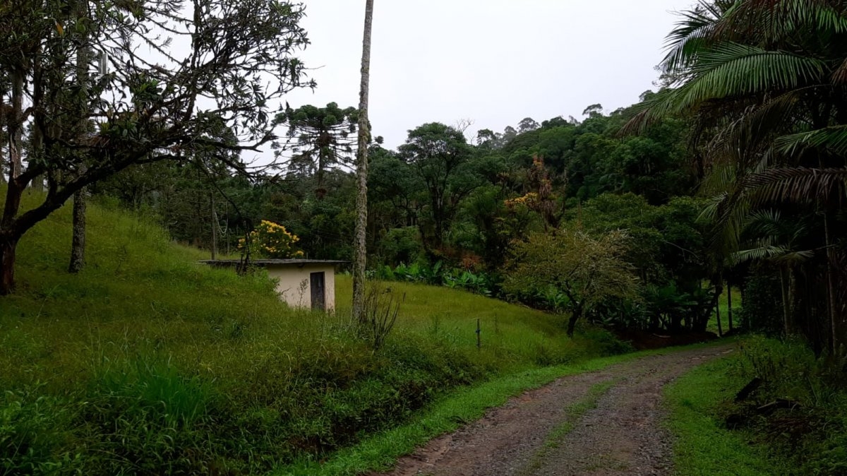 Fazenda à venda com 3 quartos, 242000m² - Foto 12