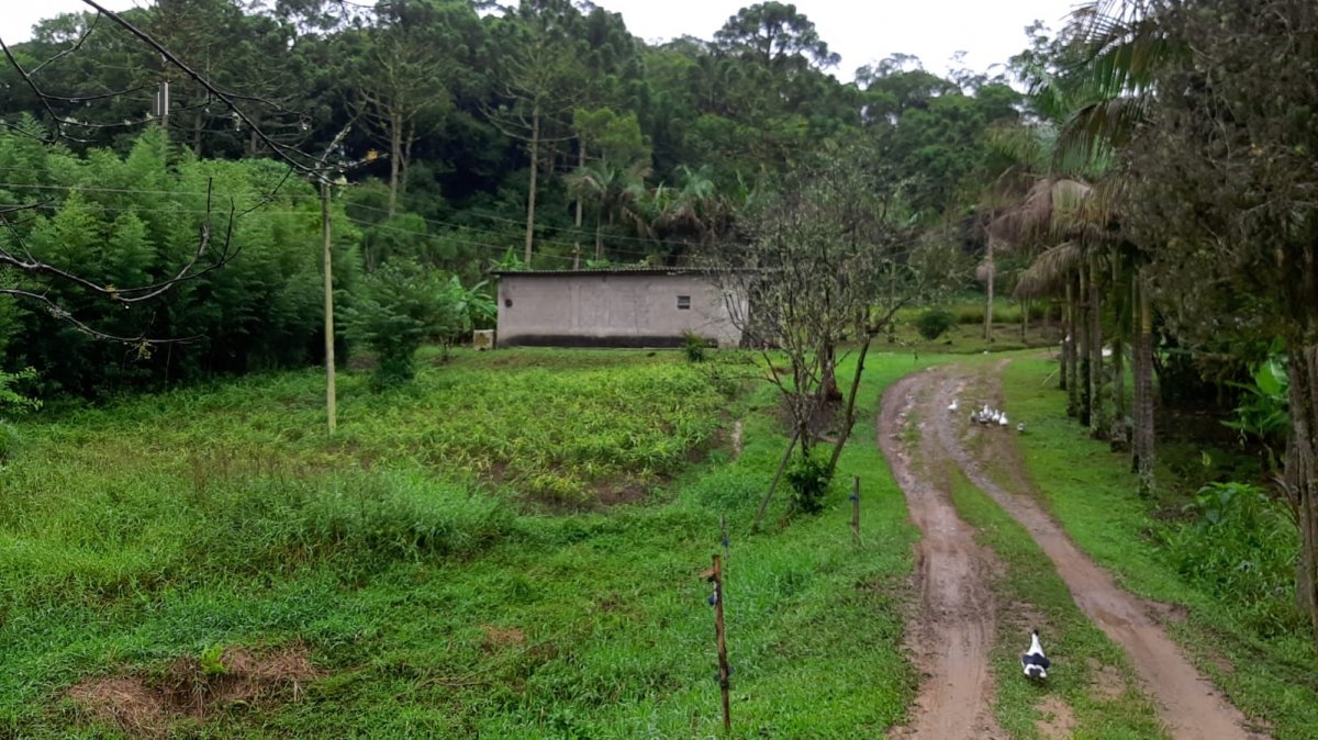 Fazenda à venda com 3 quartos, 242000m² - Foto 19