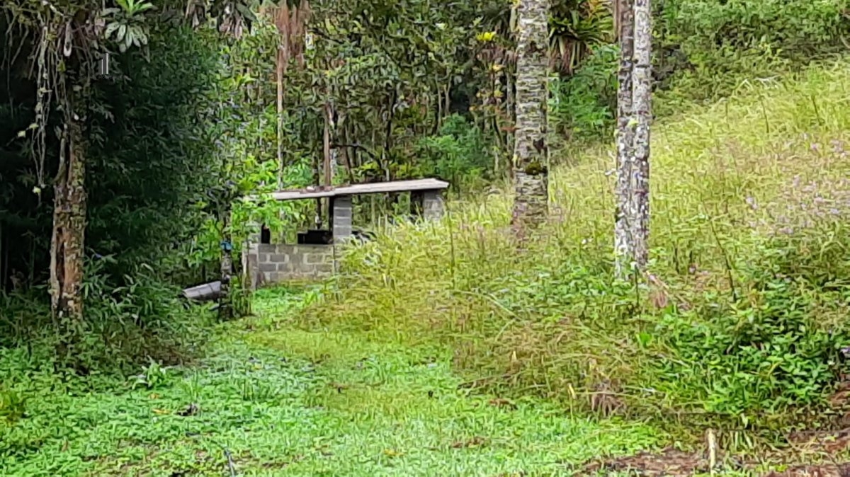 Fazenda à venda com 3 quartos, 242000m² - Foto 24