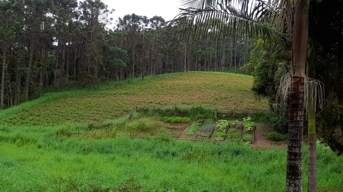 Fazenda à venda com 3 quartos, 242000m² - Foto 17