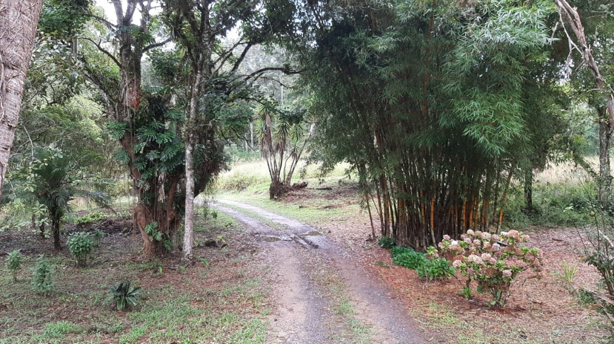 Fazenda à venda com 3 quartos, 242000m² - Foto 14