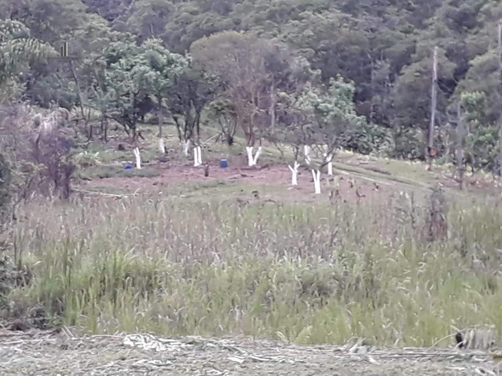 Fazenda à venda com 8 quartos, 266200m² - Foto 36