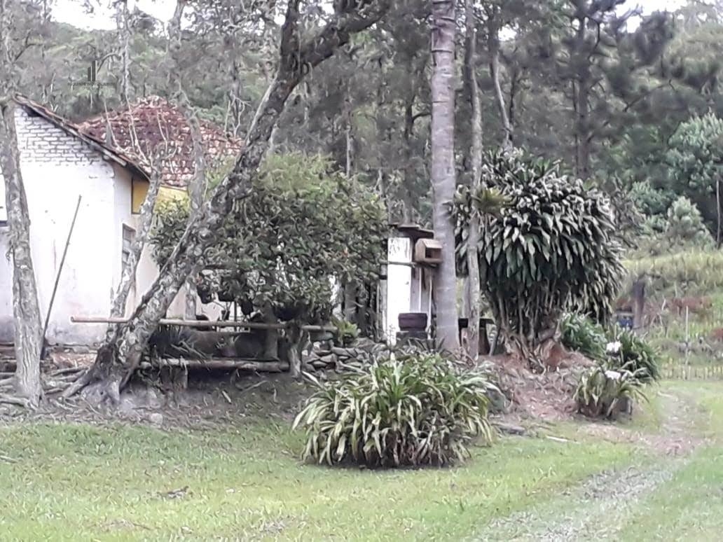 Fazenda à venda com 8 quartos, 266200m² - Foto 34