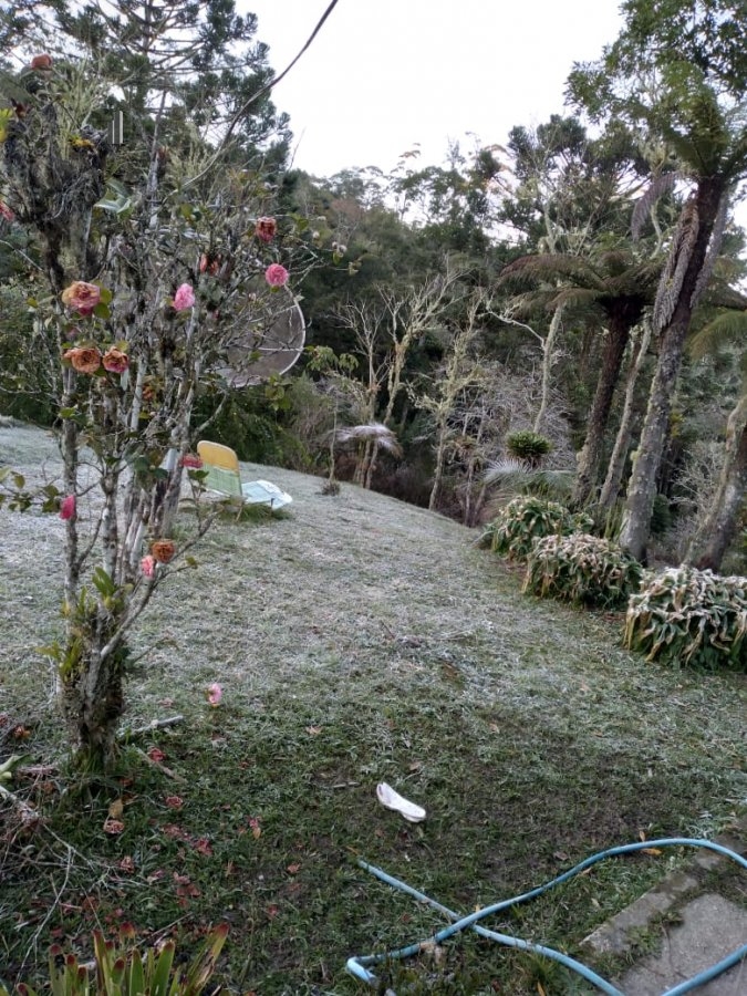 Fazenda à venda com 8 quartos, 266200m² - Foto 14