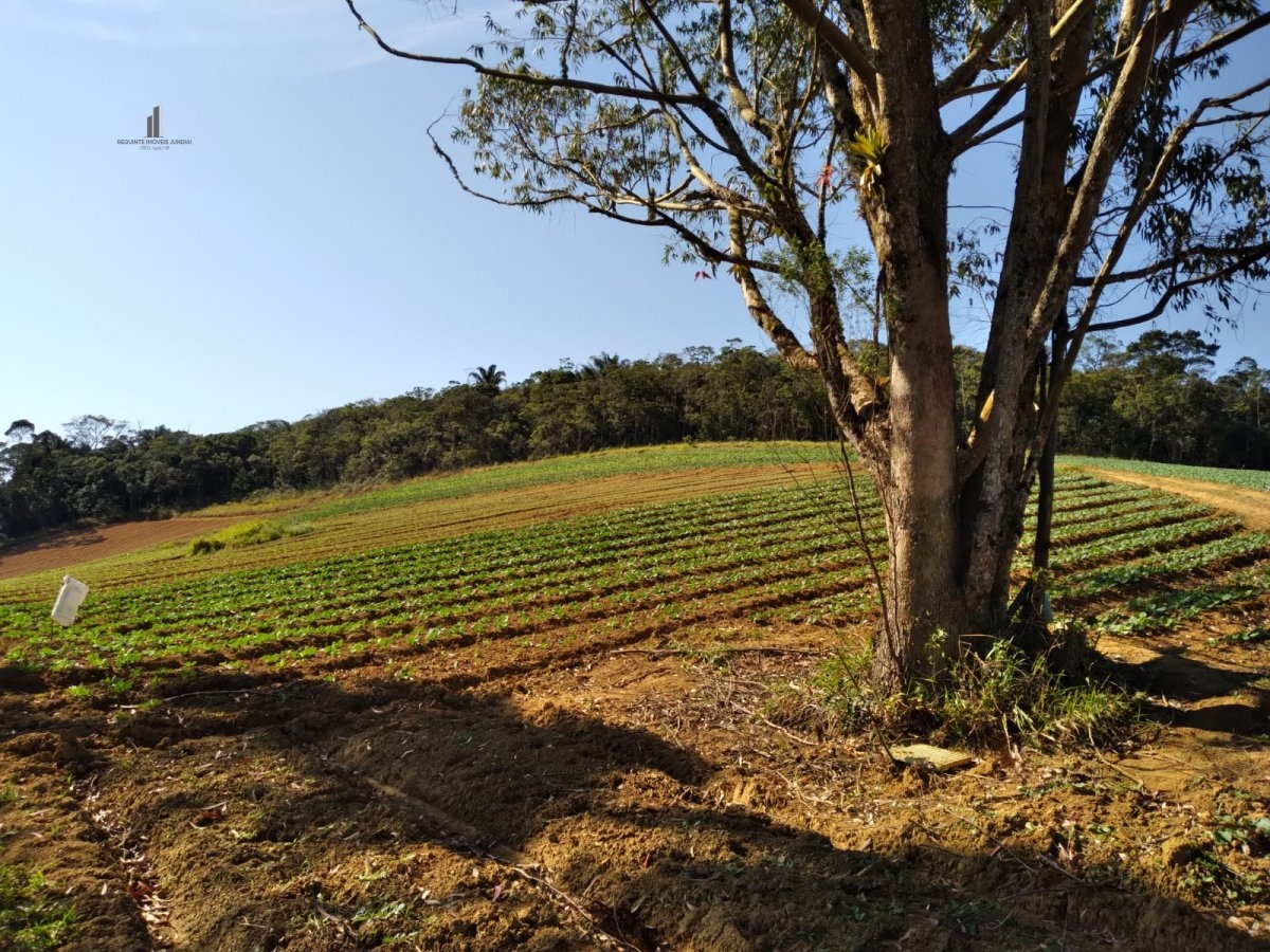 Fazenda à venda com 8 quartos, 266200m² - Foto 28