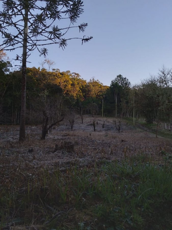 Fazenda à venda com 8 quartos, 266200m² - Foto 17