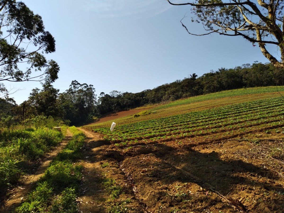 Fazenda à venda com 8 quartos, 266200m² - Foto 25