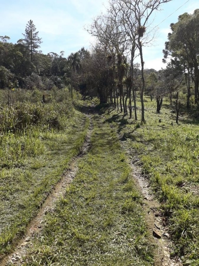 Fazenda à venda com 8 quartos, 266200m² - Foto 49