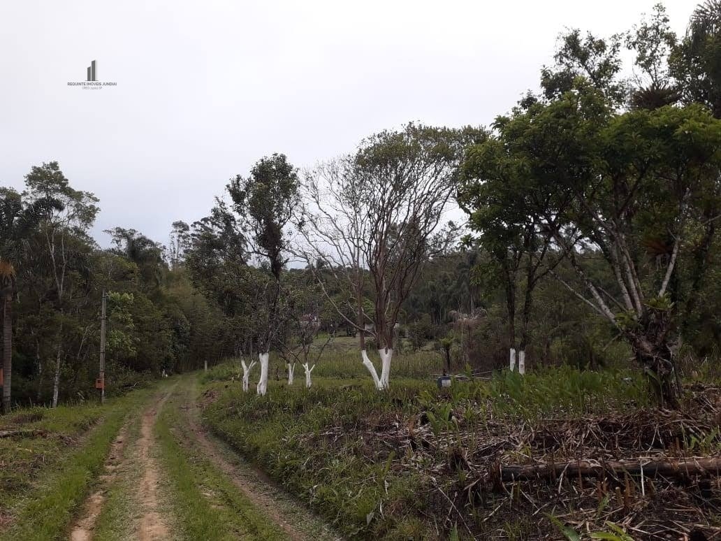 Fazenda à venda com 8 quartos, 266200m² - Foto 30